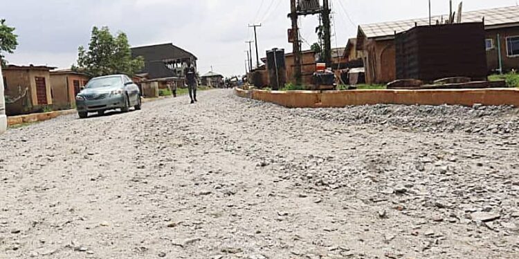 whatsapp image 2025 11 14 at 12.51.21 pm